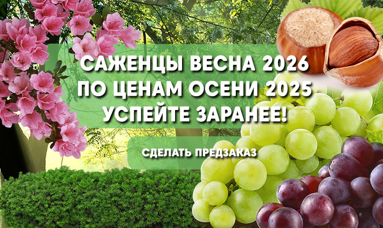 Сезон осень 2025 завершён — открыт приём заказов на весну 2026