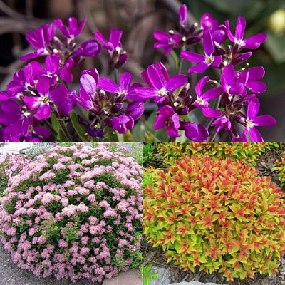 Комплект ЯПОНСКИЙ САД в Таразе