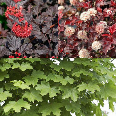 Комплект ОСЕННИЙ КОСТЕР в Таразе