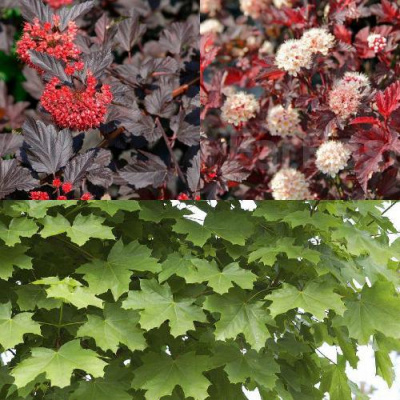 Комплект ОСЕННИЙ КОСТЕР в Таразе