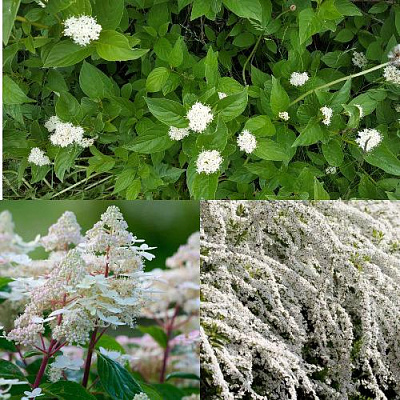 Комплект СКАНДИНАВСКИЙ СТИЛЬ в Таразе