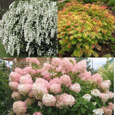 Комплект ФЕЙЕРВЕРК ЛЕТА в Таразе