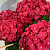 Гортензия ЭНДЛЕСС САММЕР ЛАВ крупнолистная в Таразе