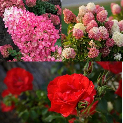 Комплект РОЗОВЫЙ ЗАКАТ в Таразе