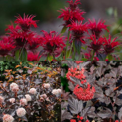 Комплект ОГНЕННЫЙ МИКС в Таразе