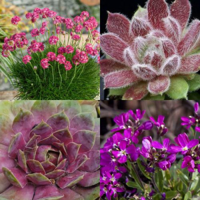 Комплект МИНИ САД в Таразе