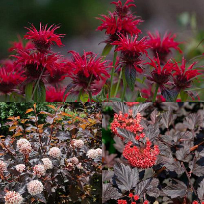 Комплект ОГНЕННЫЙ МИКС в Таразе